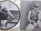 Madonna Erotica LP Picture Disc