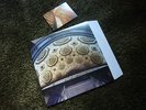 ROBIN THE FOG - THE GHOSTS OF BUSH LTD 200 PRESSED VINYL LP RADIOPHONICA