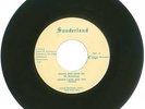 RARE 45 RPM, Robby Lynn & The Teens, Sunderland Records 1086 Angel You Sent Me