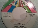 JENNY ROCK 