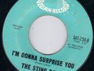 HOT R&B ROCKER/ ROCKABILLY SATURN - STING RAYS - I'M GONNA SURPRISE YOU   HEAR