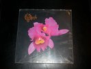 OPETH Orchid 2 LP Displeased 1st press death metal edge of sanity katatonia OOP