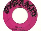 RARE & KILLER NC GARAGE MIRACLE MAKERS on PYRAMID VG+ LISTEN
