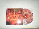 Testament- The Gathering Picture LP