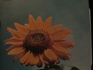 CHILDREN OF ONE - S/T LP ORIGINAL 1969 RARE PSYCH EX