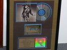 Lenny Kravitz RIAA Gold Award 
