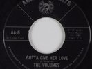 Northern Soul 45 VOLUMES Gotta Give Her Love AMERICAN ARTS HEAR