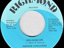 Andrew Lewis Band 