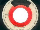 LOS SAICOS MEga Rare HARD ROCK PSYCH PUNK PERU 45 RPM DEMOLICION EX- HEAR SAMPLE