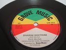DIVERSE DOCTRINE RAS IBUNA RARE 7' ROOTS GROVE MUSIC