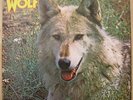 DARRYL WAY'S wolf Canis Lupus DERAM UK 1st 1973 prog MINT