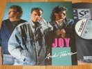 JOY - Joy And Tears LP  Euro Dance Pop  (KOrea press) TELDEC Insert NM
