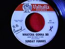 1967 CALIF. GARAGE--SUNDAY FUNNIES--WHATCHA GONNA DO / A PINDARIC ODE--VALHALLA