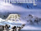Winterkat LP (rare AOR / Hard Rock)