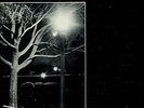 Stacia Cushing Lp In Between - Rare Private Kansas Femme Folk Pop ?Hear
