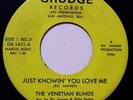 THE VENETIAN BLINDS - 60's Texas Garage Band - GRUDGE RECORDS San Antonio, TX