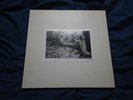 Sunn O))) White Vinyl Box #20/500 RARE Drone Doom Metal Earth