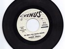 Karen Small-To Get You Back Again / That's Why I Cry-Venus 1067 Northern Soul