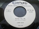 LARRY DALE-please tell me/you better head my warning-RARE BLUES-GROOVE 0029-DJ