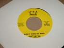 Jimmy Lane and the Incredible 5 - Deal with it / What Kind of Man - LITTLE 82043