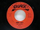 RARE - CAM CAMERON They Say / I Am A Lonely Man CAPRI 101 Northern Soul 45
