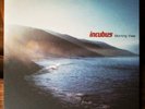 INCUBUS - Morning View NM 2LP Rare Promo Pearl Jam Wilco Metallica Sublime