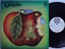 CATAPILLA Self Titled UK Prog/Psych US PROMO RARE SWIRL Orig VERTIGO 1971
