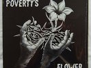 POVERTY'S FLOWER Rare Private US FEMALE XIAN FOLK/ROCK/PSYCH LP HEAR