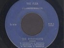 The Stratacats Combo  The Flea  WYLD KENTUCKY FRAT GARAGE ROCKER + INSTRO 