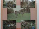 RARE ROOTS REGGAE VINYL: SWORD OF JAH MOUTH 'INVASION' ON METROSOUND LABEL 1978