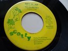 THE ELECTRAS RARE MINNESOTA 1966 GARAGE ON SCOTTY LABEL DIRTY OL' MAN  HEAR