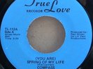 Compass   (You Are) Spring Of My Life USA 7