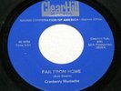 1960s CRANBERRY MUSTACHE Far From Home OHIO GARAGE/PSYCH 45 ON CLEARHILL *HEAR $
