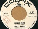 SHELLY FABARES 