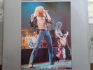 LED ZEPPELIN -TRAMPLED UNDERFOOT -2LP 1990 DALLAS 1975 - SWINGIN PIG