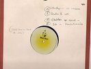 ORIG DUBPLATE ( ACATATE) MUSIC HOUSE LABEL