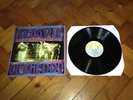 TEMPLE OF THE DOG 