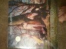 Pink Floyd The Embryo Swingin Pig RARE