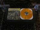 Bracket Live In A Dive gold nofx rare No Use For A Name Fat Wreck Lagwagon DTM