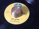RARE BOSS REGGAE 1969 - BLUE CAT BS158 - TARTANS - Short Up Dress - VG++
