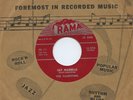 Rare Doo Wop 45  - The Valentines - Lily Maebelle - Rama # RR-171 - Mint Minus