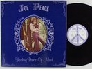 JOE PEACE Finding Peace of Mind RITE LP VG++ private psych folk