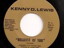 KENNY D. LEWIS Because Of You RARE MODERN CROSSOVER SOUL Hear It