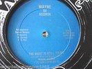 WAYNE GORBEA Y SU CONJUNTO SALSA ARINANARA RARE GUAGUANCO   EX / NM  # 1161
