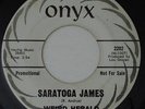 WEIRD HERALD Saratoga James ONYX Psych SSW Folk WLP 45 LISTEN MP3
