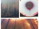 If These Trees Could Talk - Red Forest TOUR LP/VINYL (/100) Isis ITTCT Mogwai