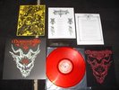 MORBOSIDAD S/T LP 