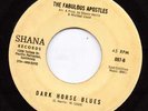 GARAGE FUZZ ----FABULOUS APOSTLES---HEAR BOTH--KANSAS BAND on SHANA