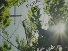 FLEA  HELEN BURNS SOLO ALBUM FLEA'S AUTOGRAPH/BASS STRING