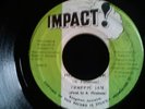 TRAFFIC JAM - HISTORY BOOK - TUFF ROOTS